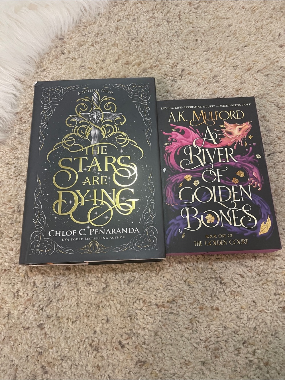 Fantasy book bundle: a river of golden bones & the stars are dying